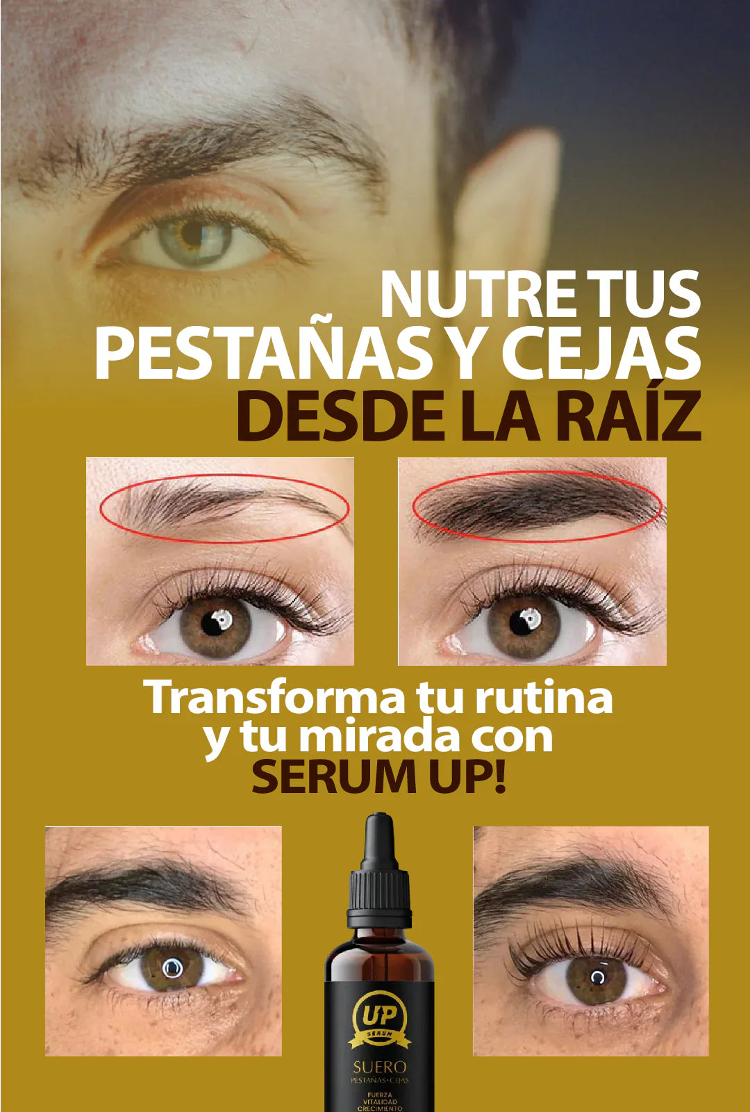 ¡Serum UP Tratamiento Pestaña y cejas + Regalo Aniversario!